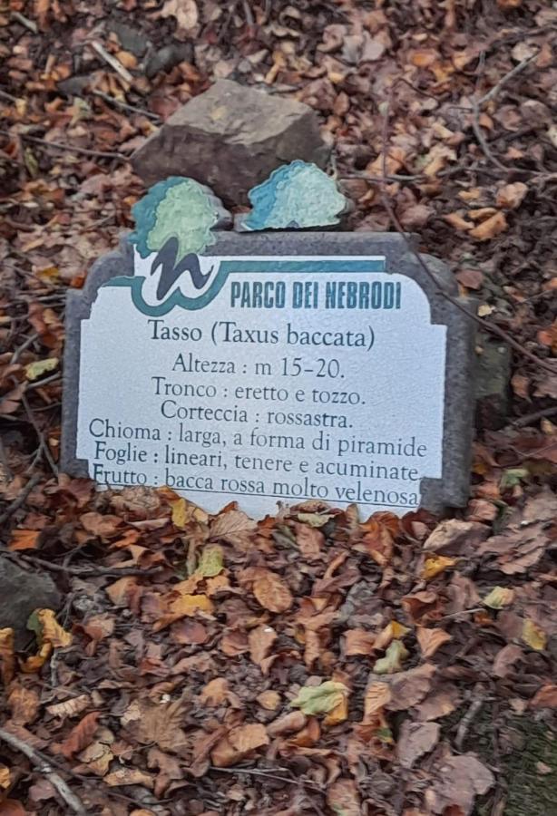 Calacta Casa Mia Caronia Екстер'єр фото